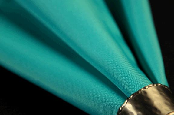 Rental store for Runner, Turquoise 12 x96 in Portland OR